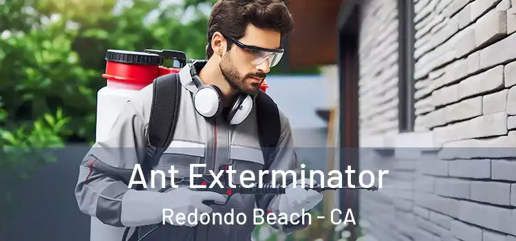  Ant Exterminator Redondo Beach - CA