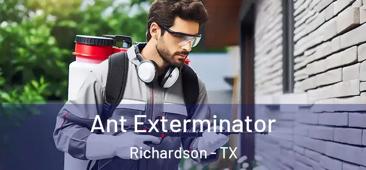 Ant Exterminator Richardson - TX