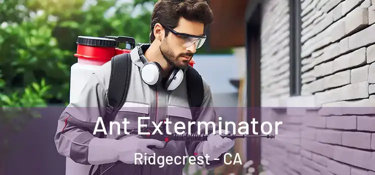  Ant Exterminator Ridgecrest - CA