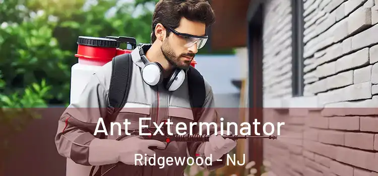 Ant Exterminator Ridgewood - NJ