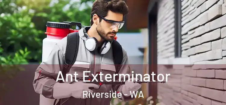  Ant Exterminator Riverside - WA