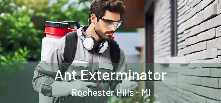 Ant Exterminator Rochester Hills - MI