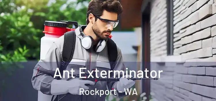  Ant Exterminator Rockport - WA