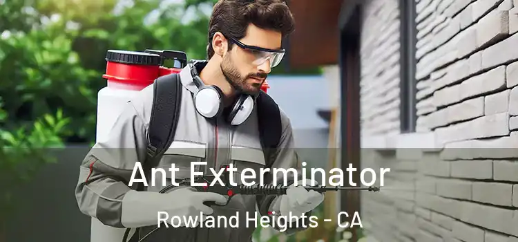  Ant Exterminator Rowland Heights - CA