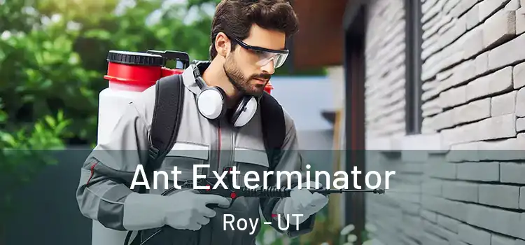 Ant Exterminator Roy - UT