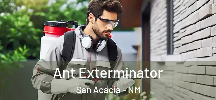 Ant Exterminator San Acacia - NM