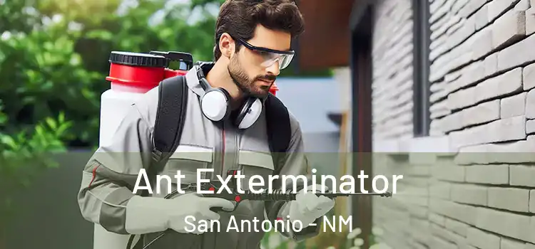 Ant Exterminator San Antonio - NM