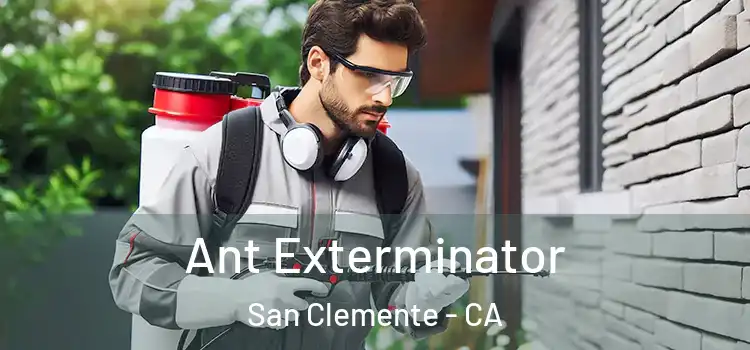 Ant Exterminator San Clemente - CA