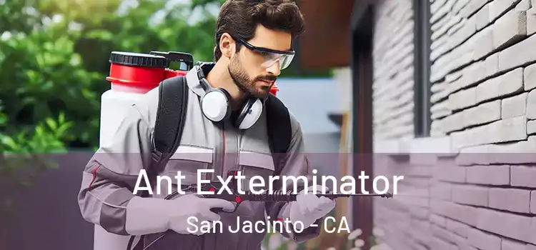 Ant Exterminator San Jacinto - CA