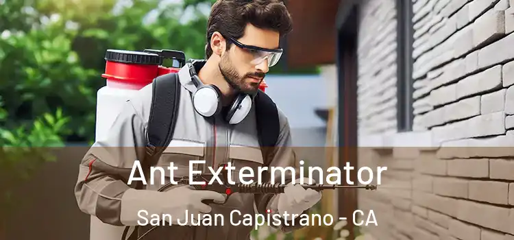 Ant Exterminator San Juan Capistrano - CA