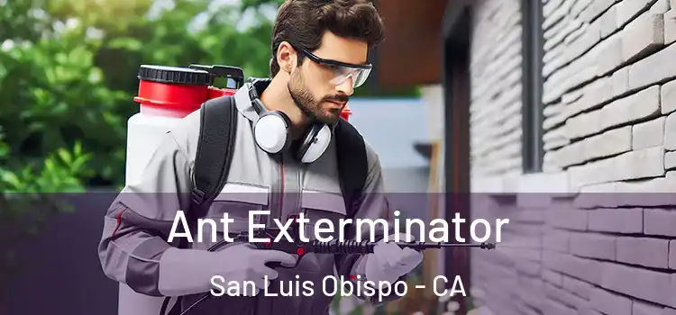 Ant Exterminator San Luis Obispo - CA