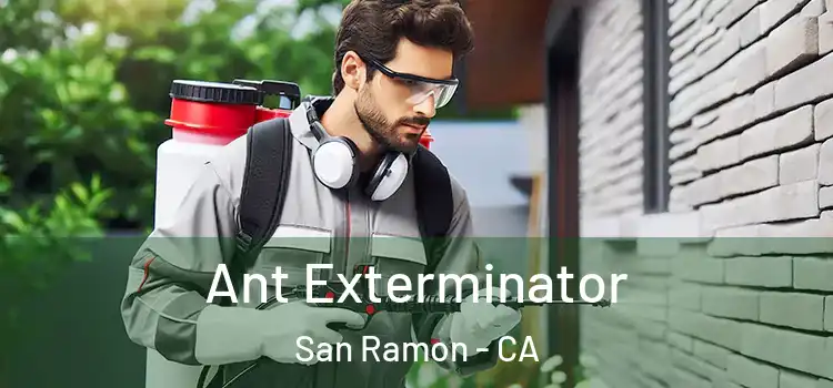 Ant Exterminator San Ramon - CA