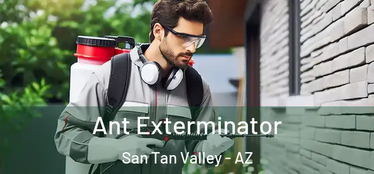  Ant Exterminator San Tan Valley - AZ