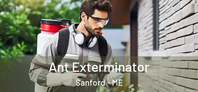 Ant Exterminator Sanford - ME