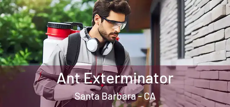 Ant Exterminator Santa Barbara - CA