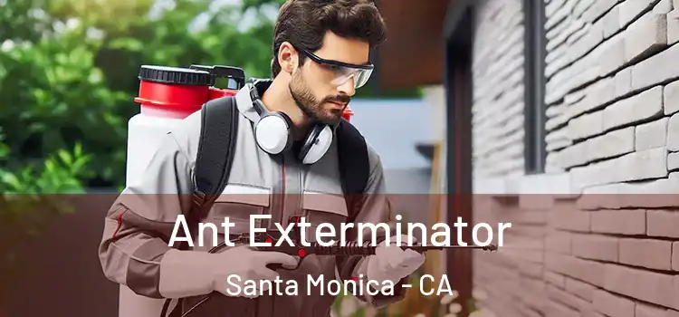 Ant Exterminator Santa Monica - CA