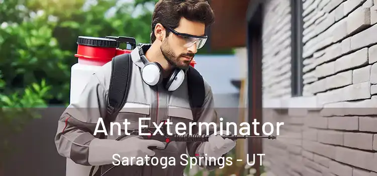  Ant Exterminator Saratoga Springs - UT