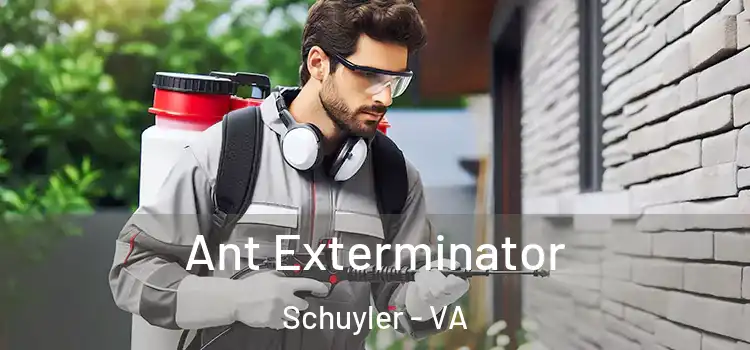 Ant Exterminator Schuyler - VA