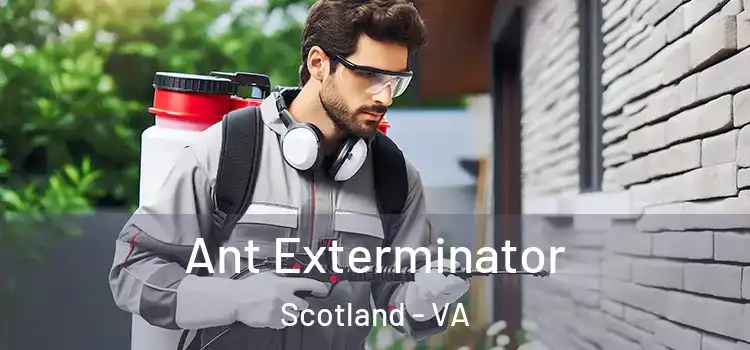 Ant Exterminator Scotland - VA