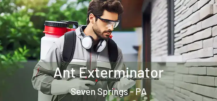  Ant Exterminator Seven Springs - PA