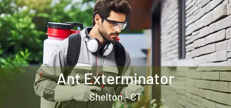  Ant Exterminator Shelton - CT