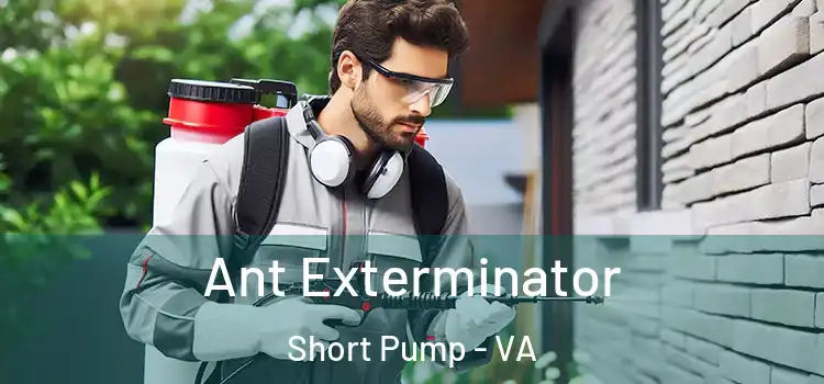 Ant Exterminator Short Pump - VA