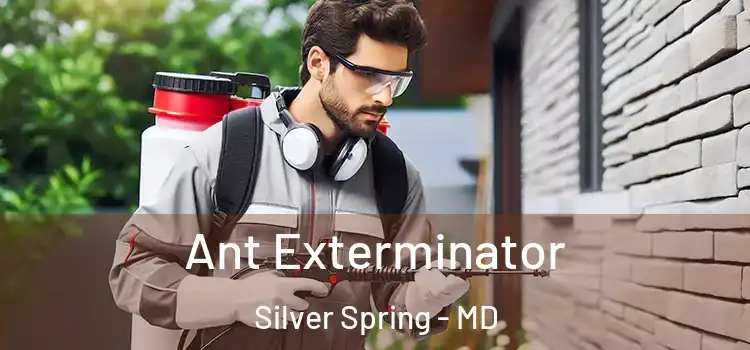  Ant Exterminator Silver Spring - MD