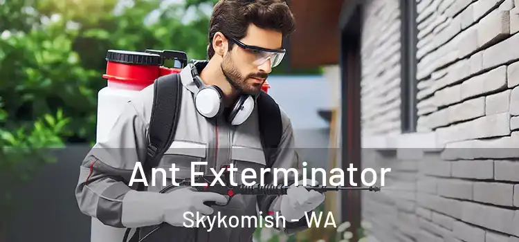 Ant Exterminator Skykomish - WA