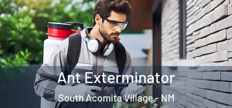 Ant Exterminator South Acomita Village - NM