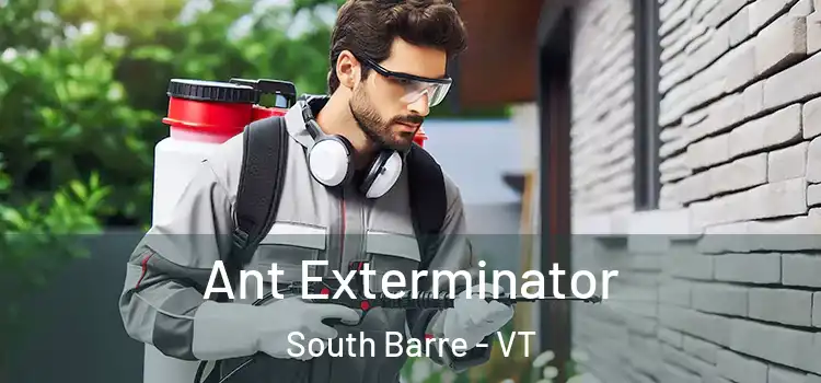  Ant Exterminator South Barre - VT