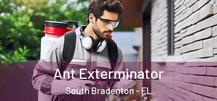 Ant Exterminator South Bradenton - FL