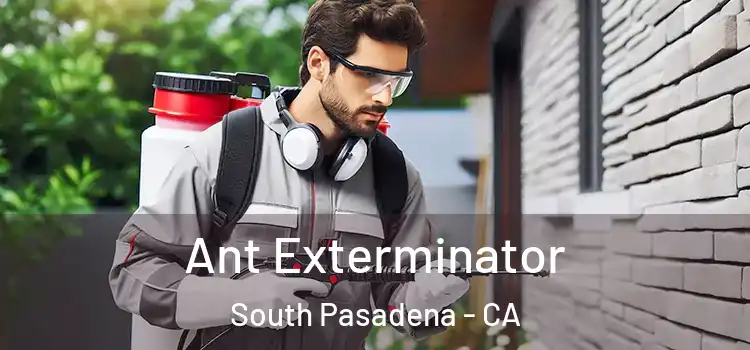 Ant Exterminator South Pasadena - CA