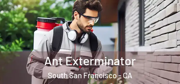 Ant Exterminator South San Francisco - CA