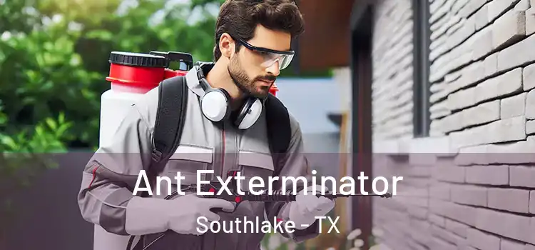 Ant Exterminator Southlake - TX