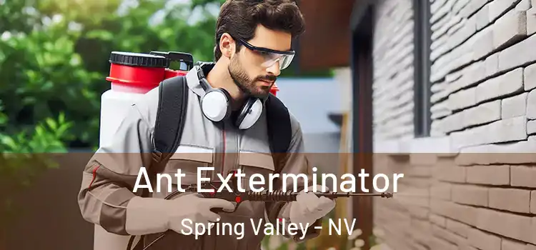  Ant Exterminator Spring Valley - NV