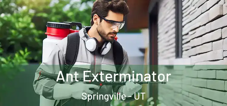  Ant Exterminator Springville - UT