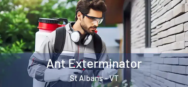  Ant Exterminator St Albans - VT