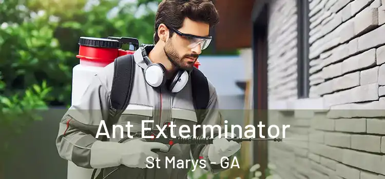  Ant Exterminator St Marys - GA