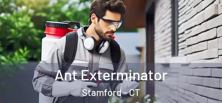 Ant Exterminator Stamford - CT