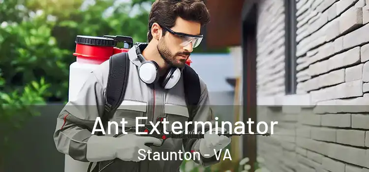  Ant Exterminator Staunton - VA