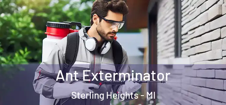  Ant Exterminator Sterling Heights - MI