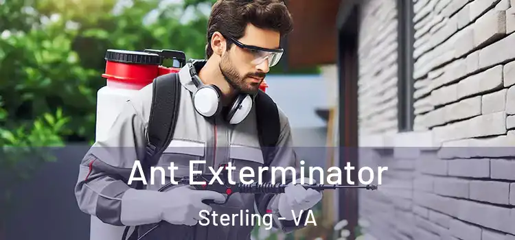  Ant Exterminator Sterling - VA