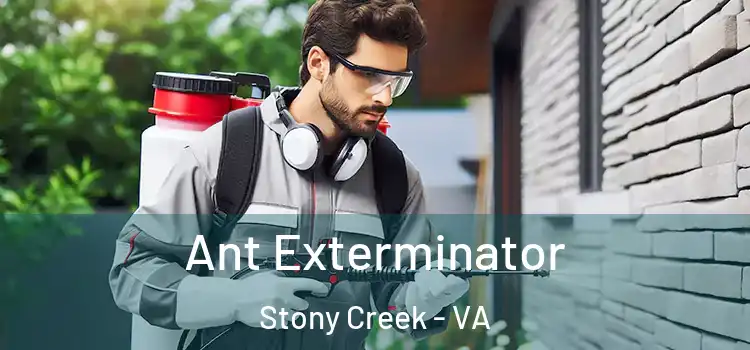Ant Exterminator Stony Creek - VA