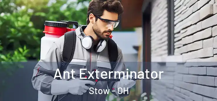 Ant Exterminator Stow - OH