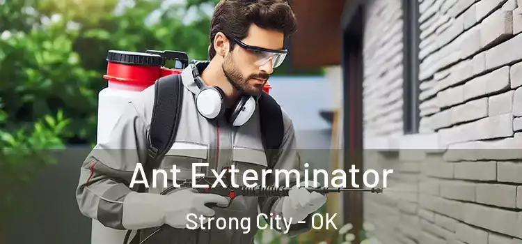 Ant Exterminator Strong City - OK