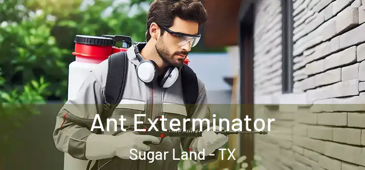Ant Exterminator Sugar Land - TX