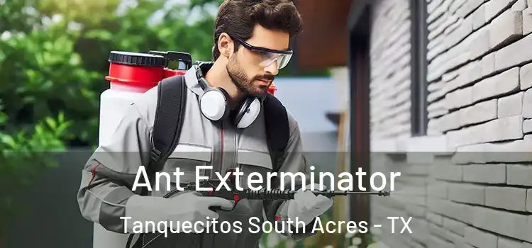  Ant Exterminator Tanquecitos South Acres - TX