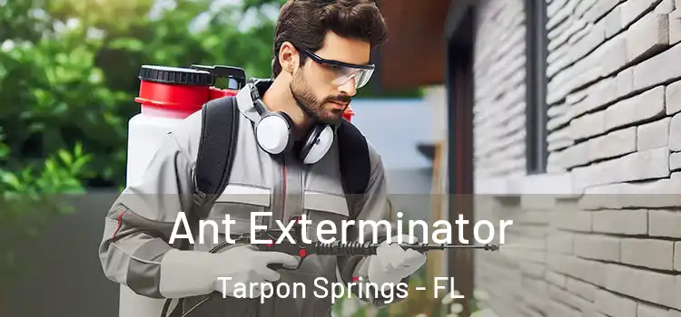 Ant Exterminator Tarpon Springs - FL
