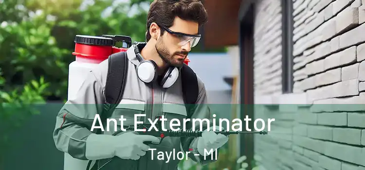  Ant Exterminator Taylor - MI