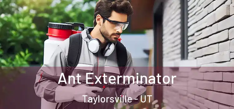  Ant Exterminator Taylorsville - UT